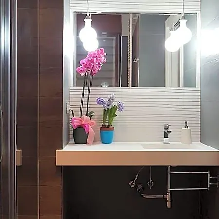 Xenia 3*